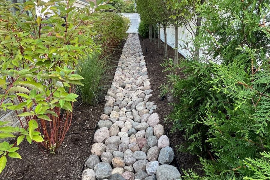 Drainage Swale Arlington Heights - Landscaping
