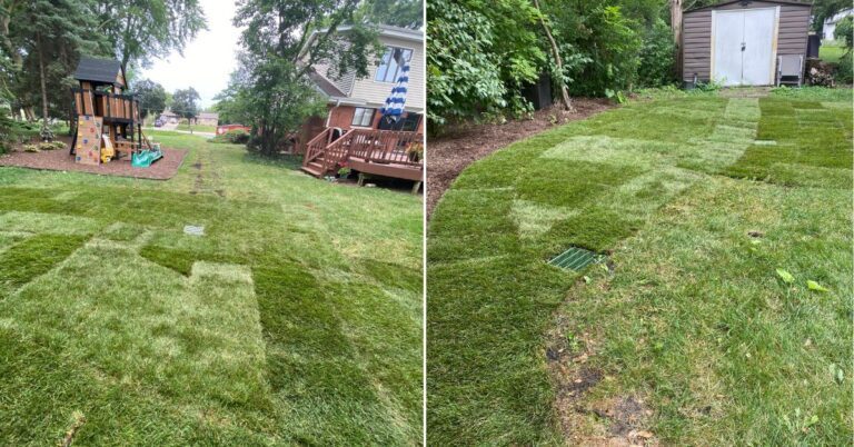 drainage install in Des Plaines - Landscaping