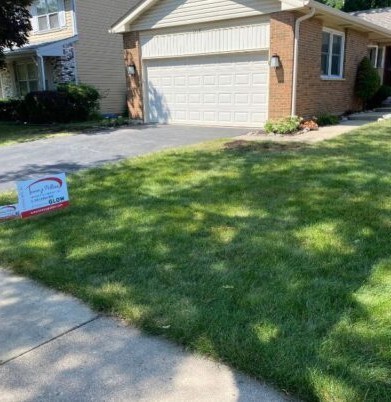 Grading drainage in Arlington Heights - Landscaping
