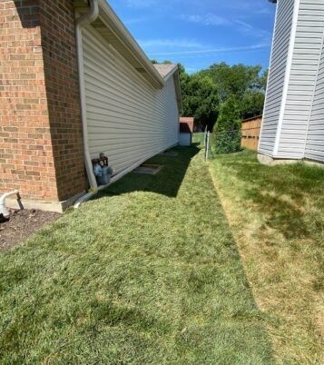 Grading drainage in Arlington Heights - Landscaping