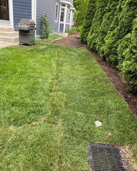 Drainage Grading / Glenview  - Landscaping