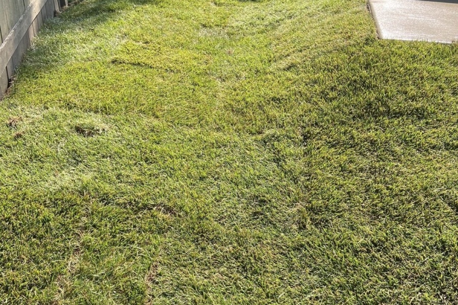 Drainage Grading  / Glenview  - Landscaping