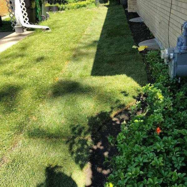 Drainage and Grading in Higland Park - Lanscaping