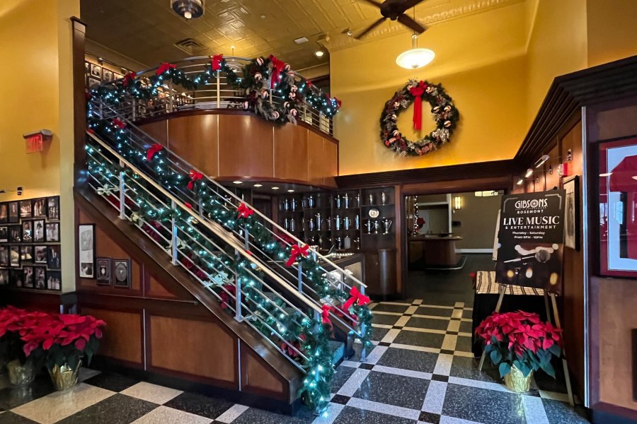 Holiday Decor Lights Stairs Glenview - Landscaping