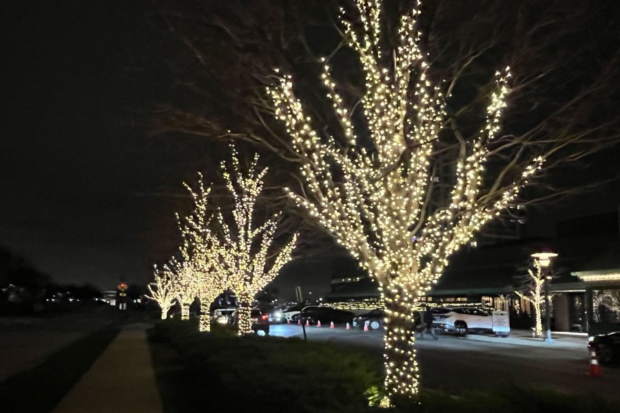 Holiday Decor Lights Rosemont - Landscaping