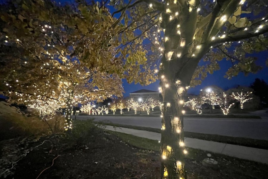 Holiday Decor Lights Rosemont - Landscaping