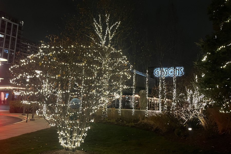 Holiday Decor Lights Rosemont - Landscaping