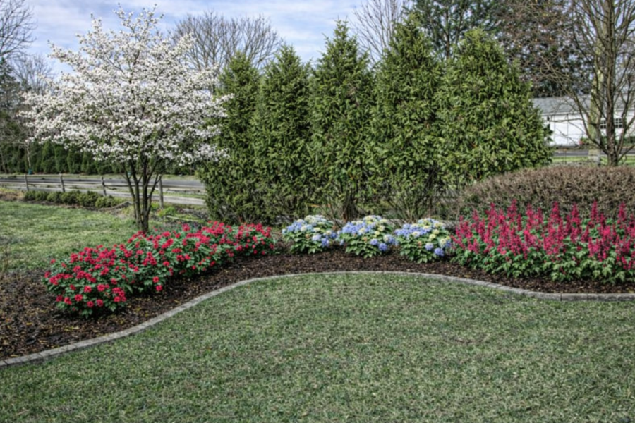 Design Render - Landscaping