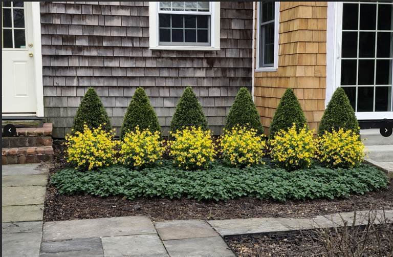 Design Render - Landscaping