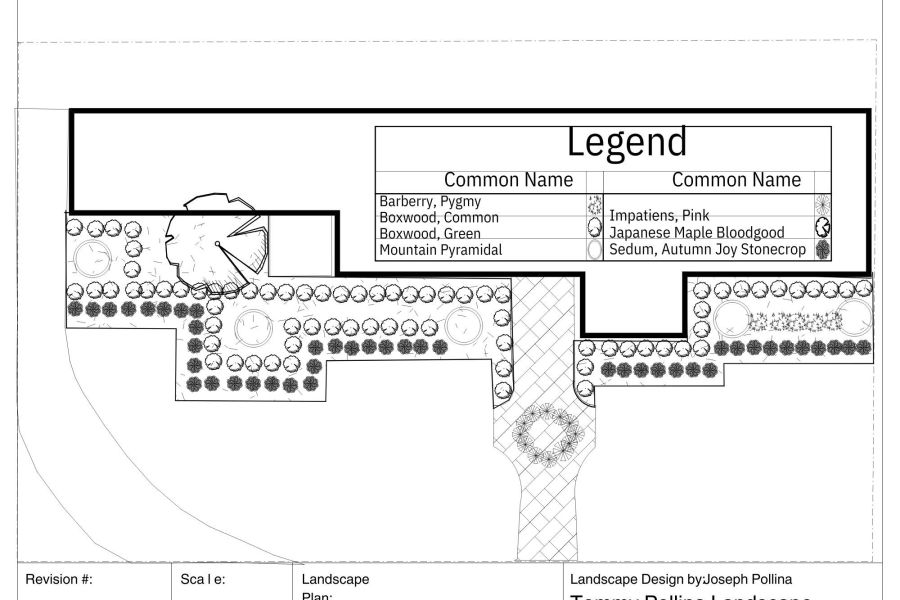 Design Sketch - Landscaping