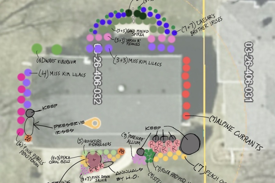 Design Sketch - Landscaping