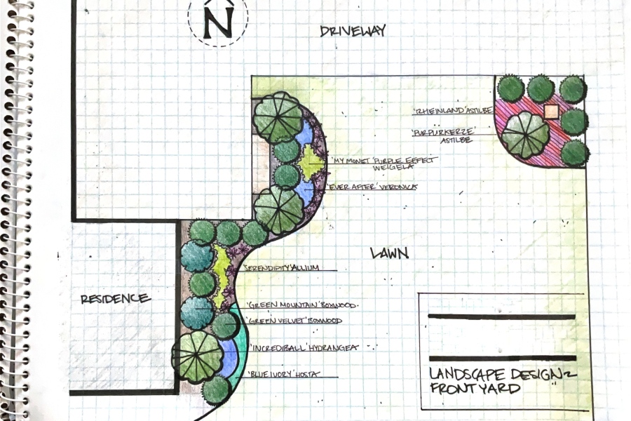 Design Sketch - Landscaping