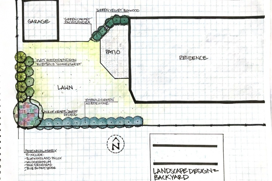 Design Sketch - Landscaping