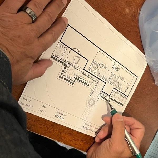 Landscape Design Sketch - Landscaping