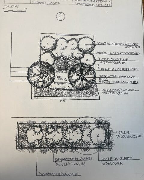 Landscape Design Sketch - Landscaping