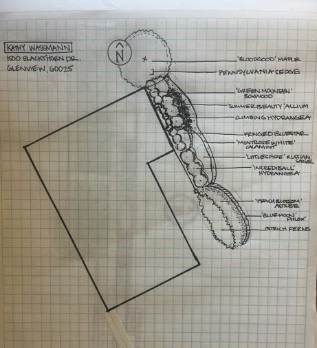 Landscape Design Sketch - Landscaping