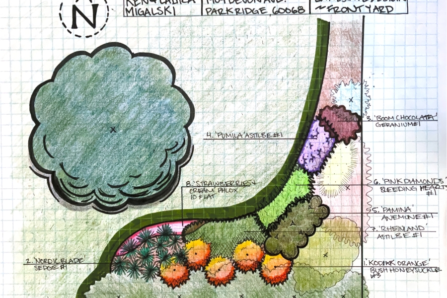 Landscape Design Sketch - Landscaping
