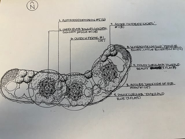 Landscape Design Sketch - Landscaping