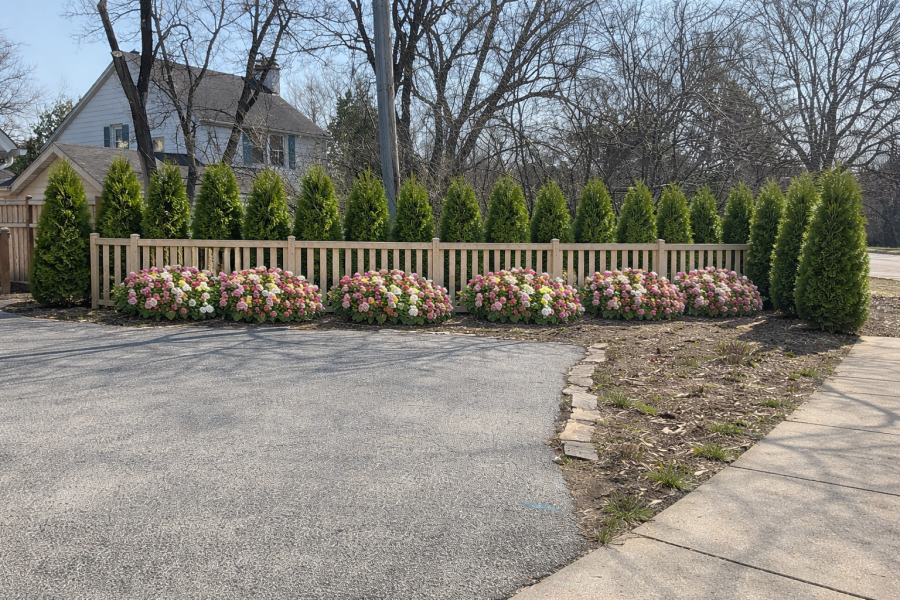 Design Render - Landscaping