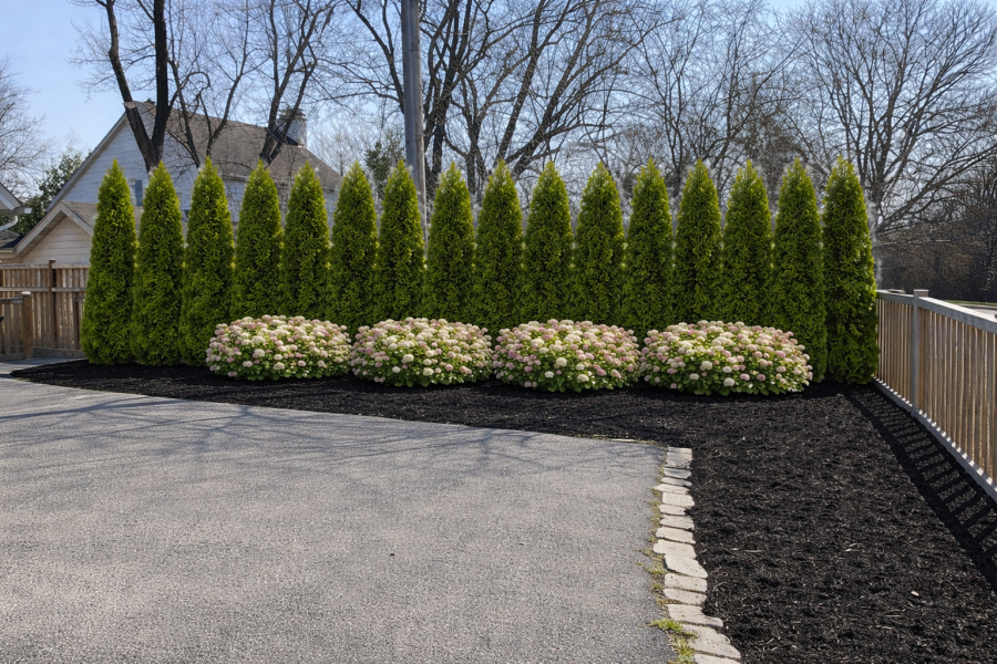 Design Render - Landscaping