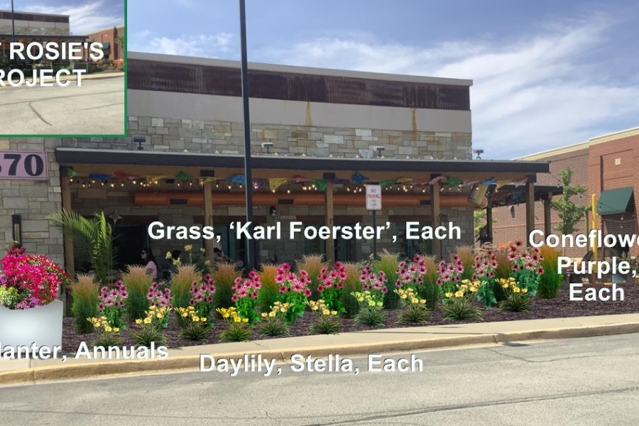 Design Render - Landscaping