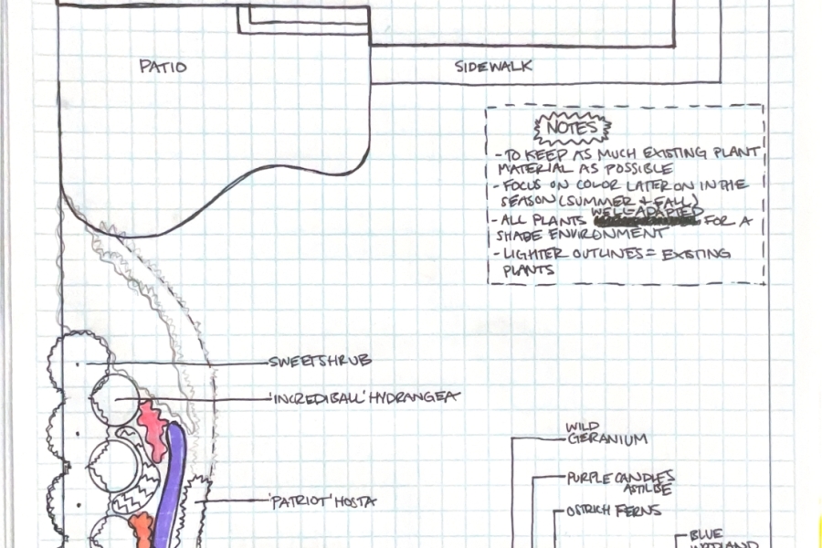 Design Sketch - Landscaping