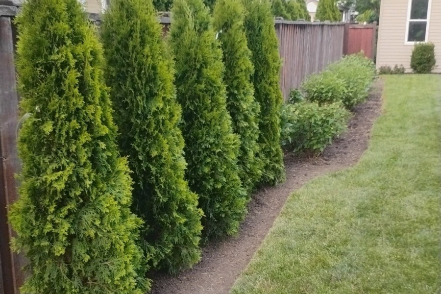 Landscape Installation in Wilmette - Landscaping