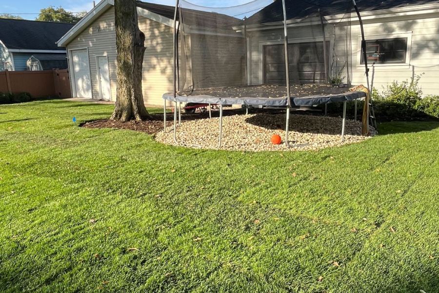 Landscape Installation Park Ridge - Landscaping