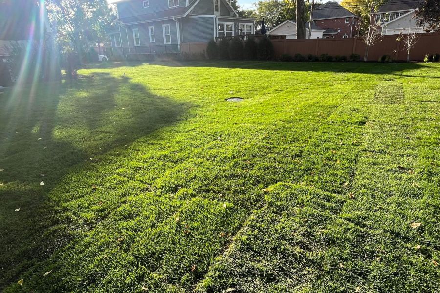 Landscape Installation Park Ridge - Landscaping