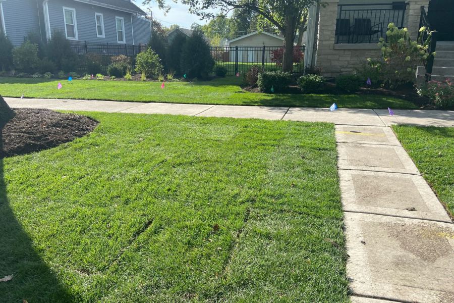 Landscape Installation Park Ridge - Landscaping
