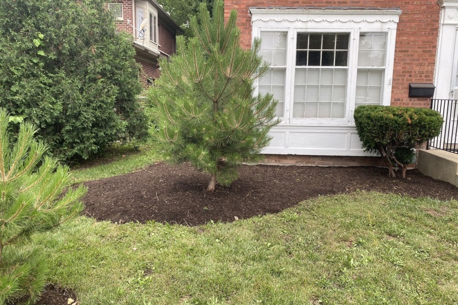 Landscape Installation Glenview - Landscaping