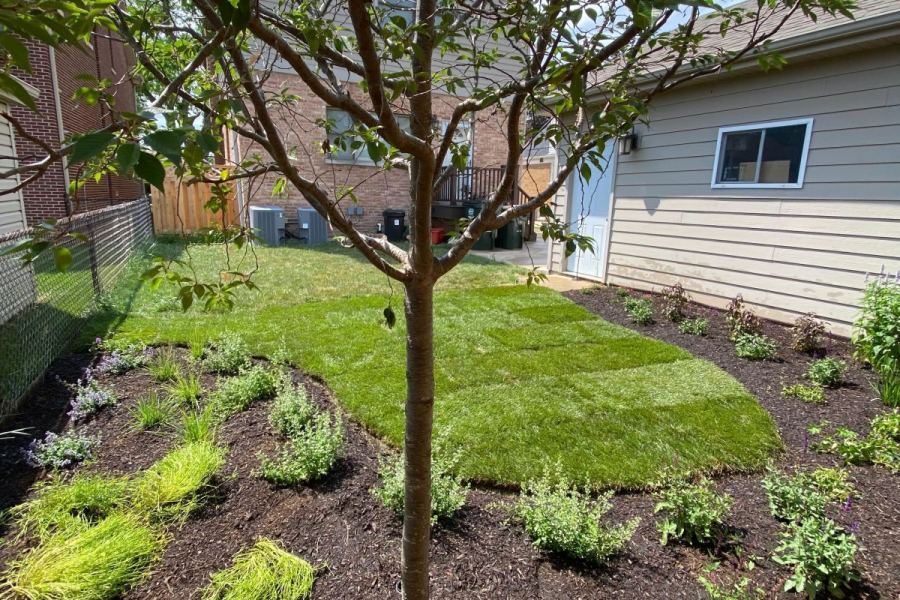 Landscape installation Barrington - Landscaping