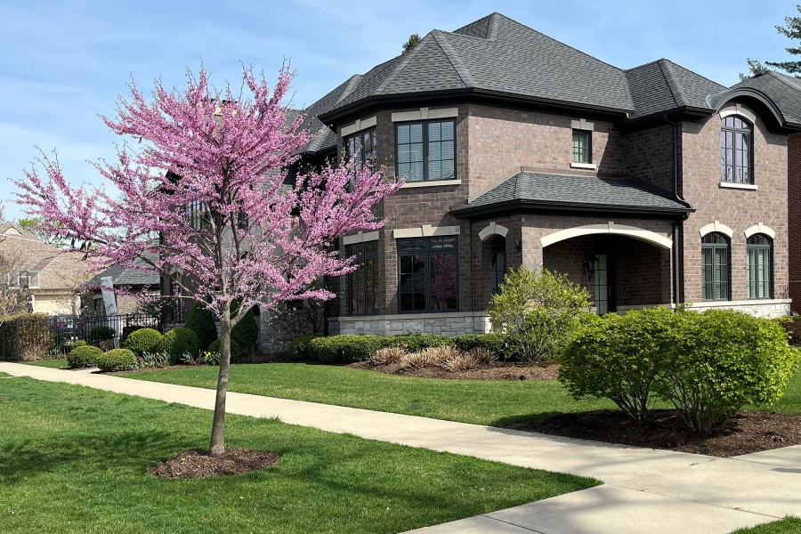Landscape Installation,  Front Yard Northfield - Landscaping