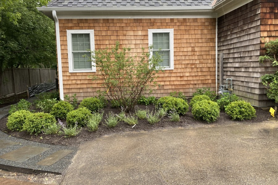 Landscape Plants Installation in Inverness - Landscaping