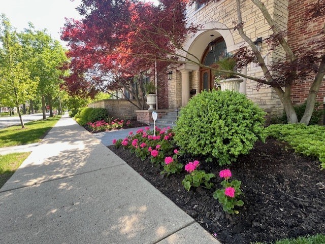 Landscape Installation Kenilworth - Landscaping