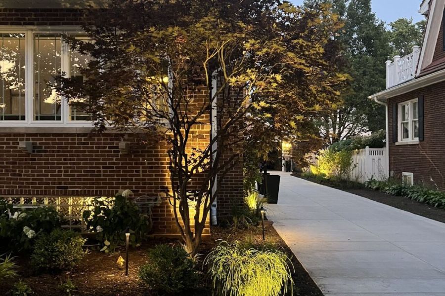 Landscape up Lighting 