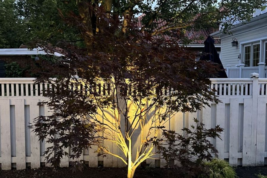 Landscape up Lighting 