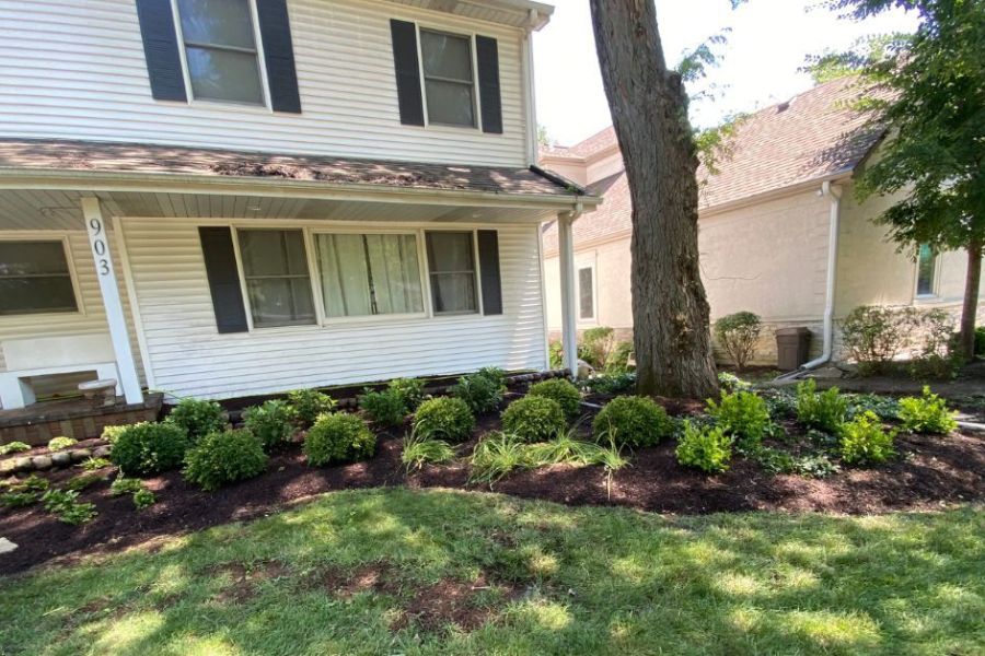 Maintenance Trimming Install in Glenview - Landscaping