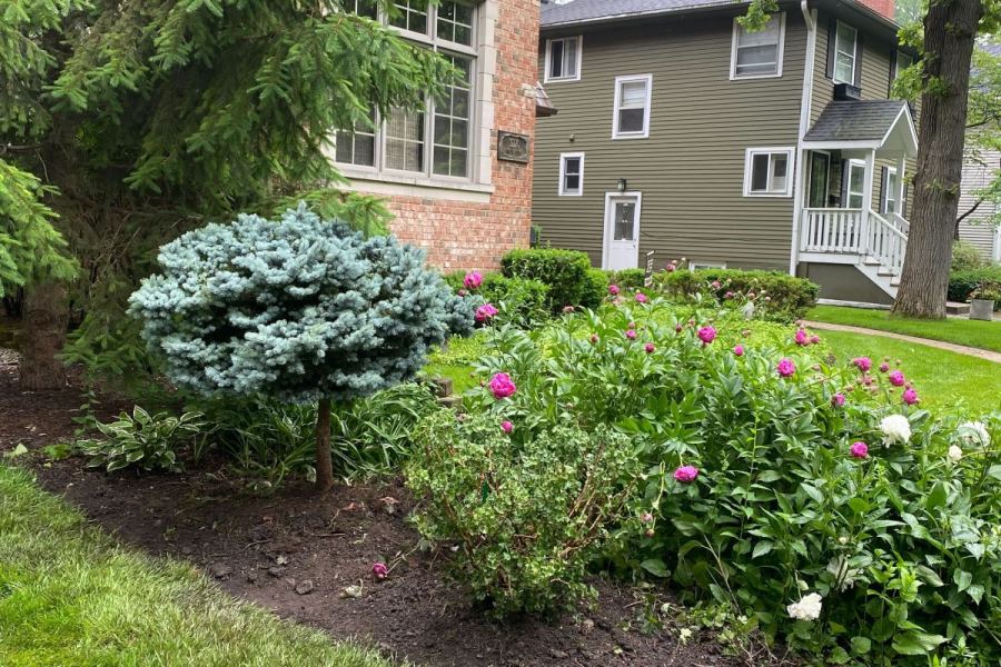 Planting Bed Installation Glencoe - Landscaping