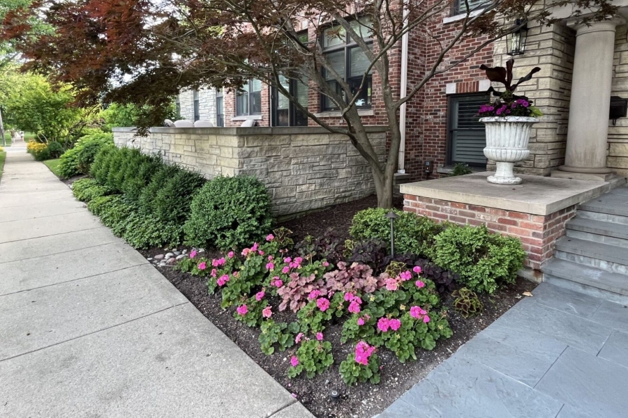 Landscape installation and maintenance seasonal plantings Kenilworth - Landscaping