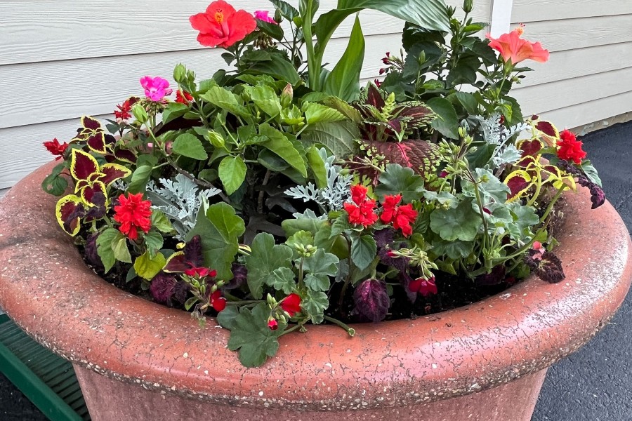 Seasonal Planter Park Ridge - Landscaping