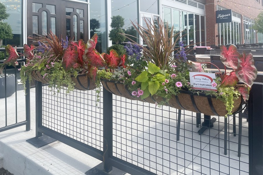 Commercial Seasonal Planters FatPour Lincolnwood - Landscaping